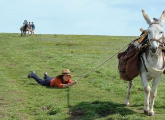 Crítica | Minhas Férias com Patrick – Divertida aventura de autodescoberta no sul da França