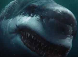 ‘The Wreck’: Diretor de ‘Além do Horizonte’ comandará novo terror com tubarões assassinos