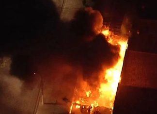 Cinemateca Brasileira | Martin Scorsese e imprensa cobraram governo federal sobre a Cinemateca antes do incêndio