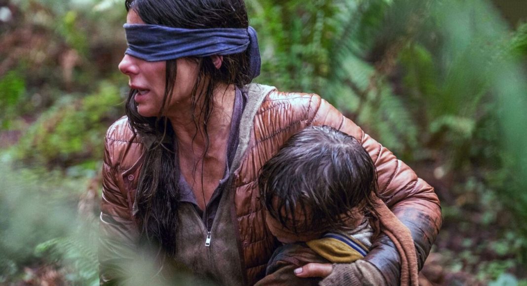 bird box