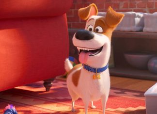 ‘Pets: A Vida Secreta dos Bichos 3’: Illumination confirma desenvolvimento de nova sequência