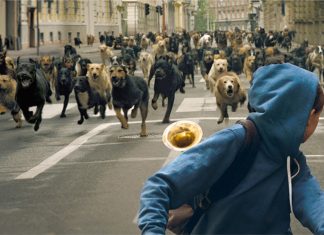 Filmes EXCELENTES que mostram as profundas interações entre as pessoas e os animais