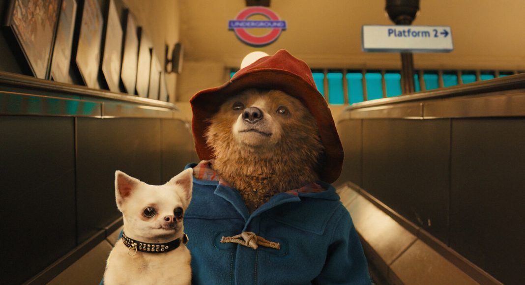 paddington