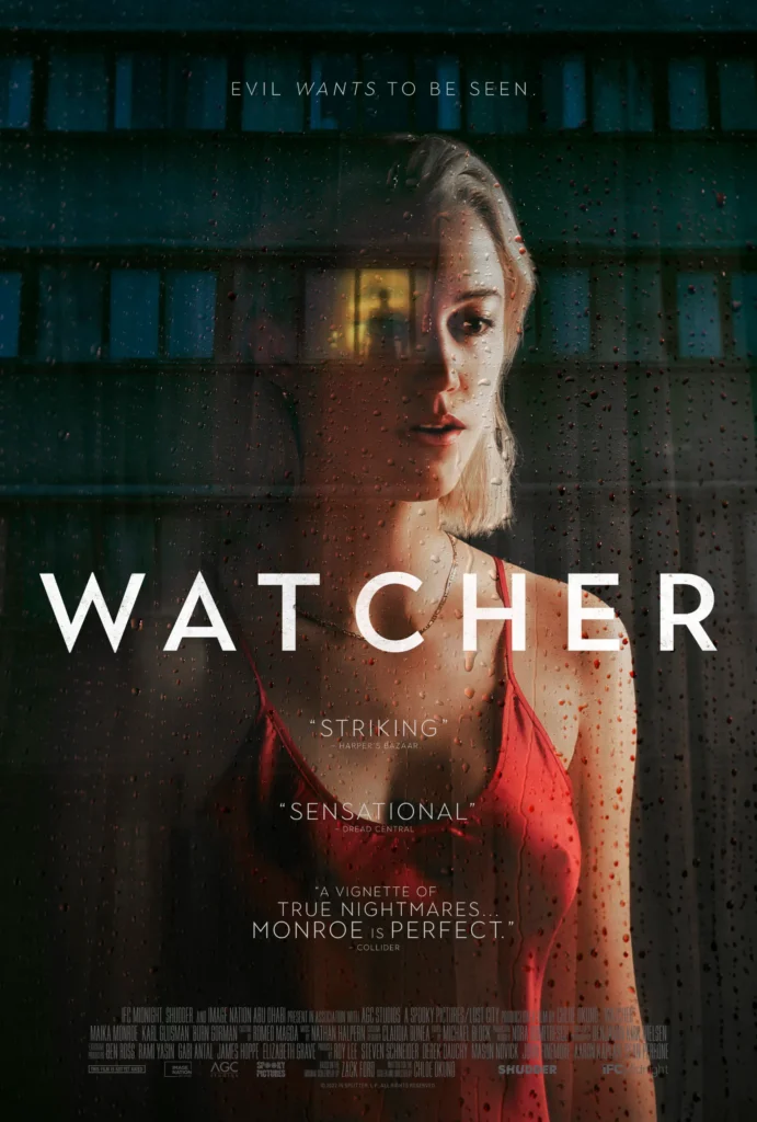 The Watcher: stalker aterroriza família em série tensa da Netflix; veja