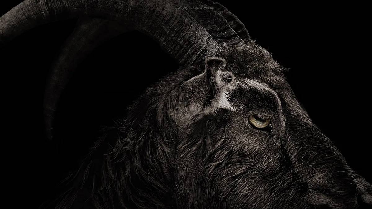 A Bruxa: Por que diretor Robert Eggers 'não suporta' assistir ao