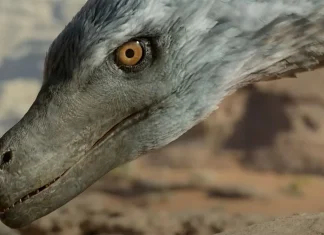 Documentário da Apple TV+ sobre o mundo dos DINOSSAUROS ganha trailer completo; Assista!