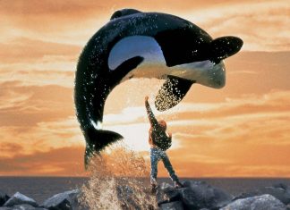 10 Grandes Filmes que mostram o AMOR aos animais