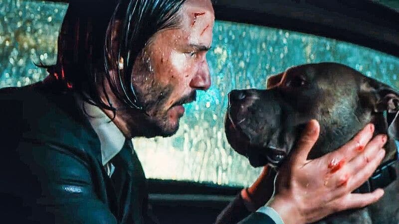 John Wick'  Ranqueamos do Pior ao Melhor TODOS os Filmes da