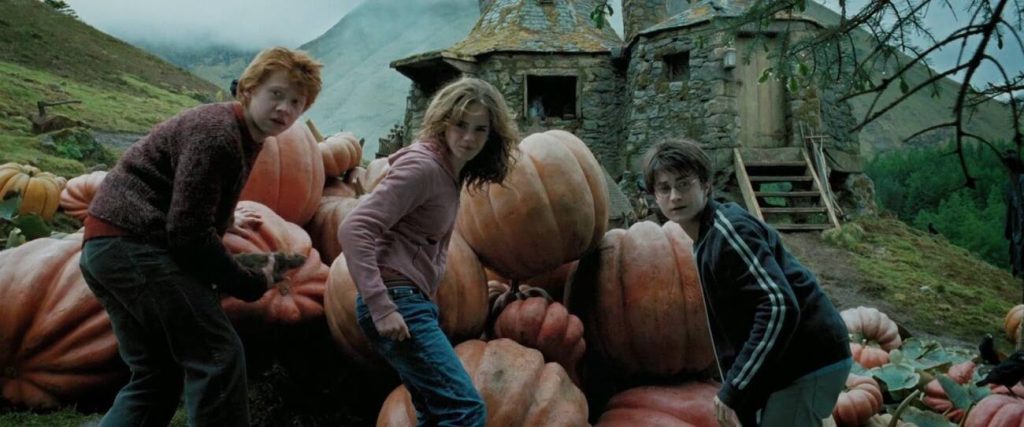 Produtor de ‘Harry Potter’ revela MOTIVO de Alfonso Cuarón não ter retornado à saga após ‘Prisioneiro de Azkaban’