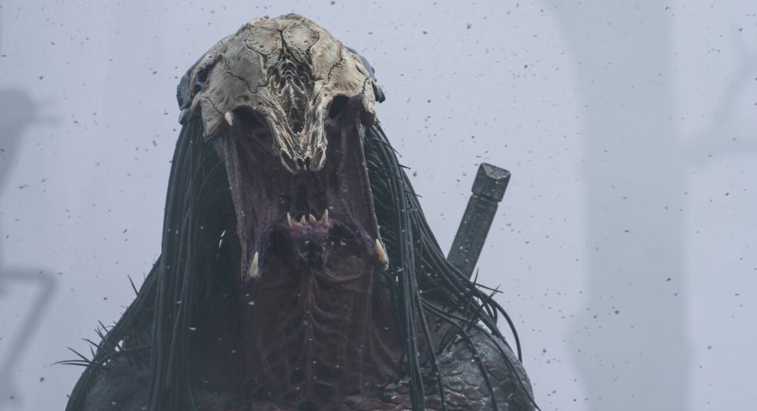 o predador a caçada prey
