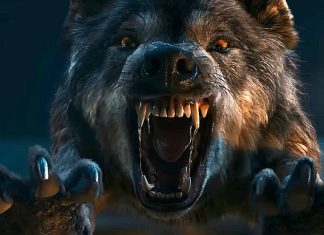 Lobisomem ataca no trailer do terror indiano ‘Bhediya’; Confira!
