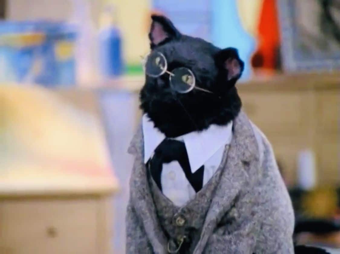 Sexta-feira 13  Os gatos pretos mais ICÔNICOS da Cultura Pop