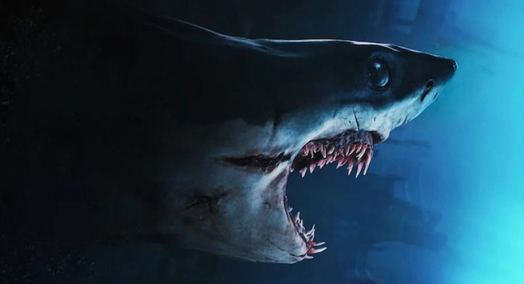 mako