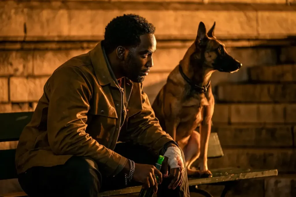 Às vésperas da estreia de John Wick 3, diretor indica que haverá um 4º  filme - Entretenimento - BOL