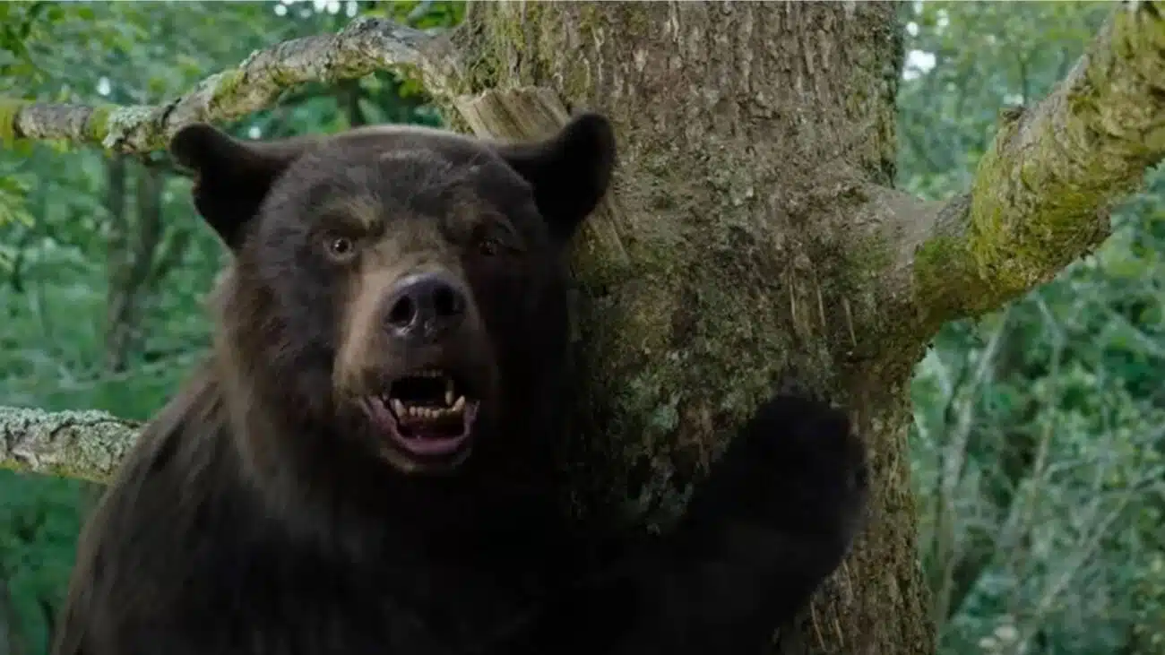 Urso do Pó Branco - Filme 2023 - AdoroCinema