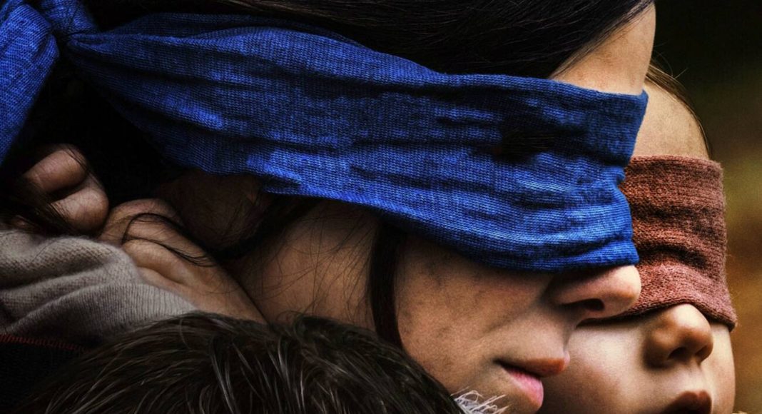 bird box