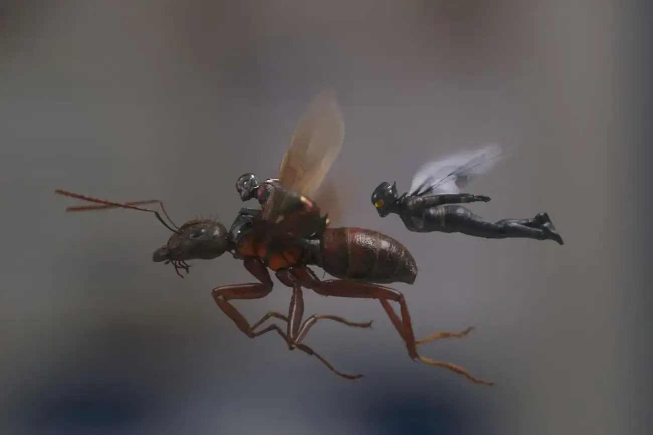 10 Curiosidade sobre o novo filme do Homem Formiga e a Vespa: Quantumania -  Itajaí Shopping
