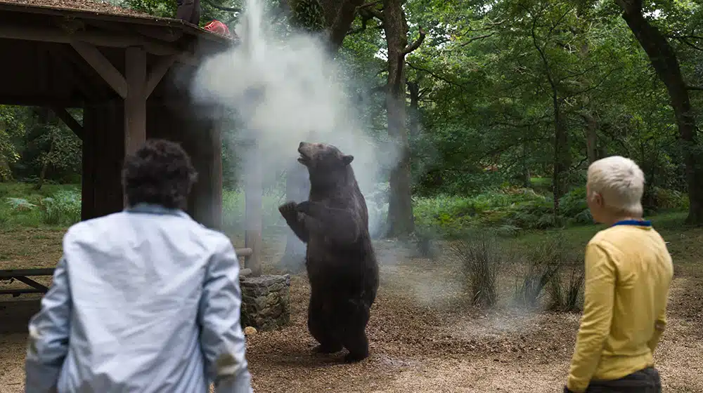 A historia por trás do filme 'O Urso do Pó Branco'. Vão assistir