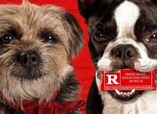 ‘Ruim pra Cachorro’: Comédia adulta já está disponível no Prime Video!