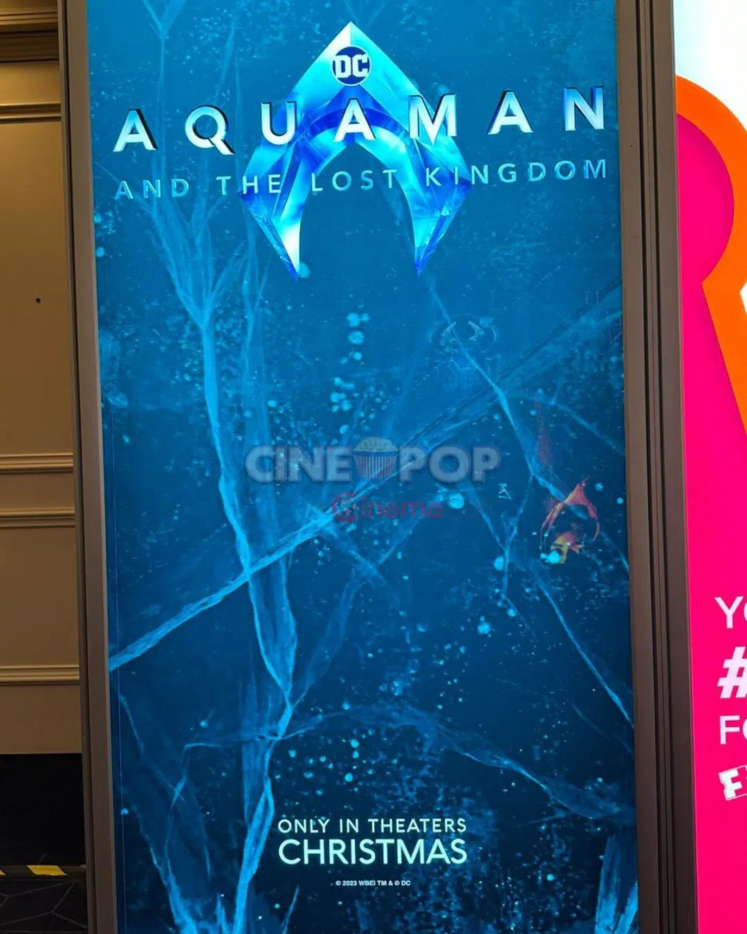 As primeiras projeções de bilheteria de Aquaman 2 continuam desastrosas em  2023 para filmes da DC