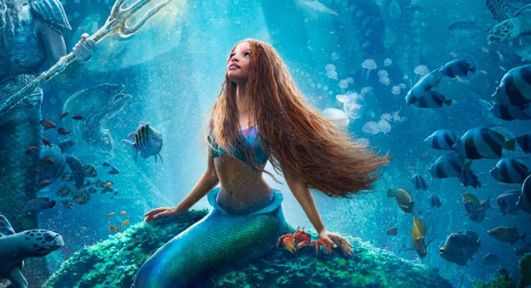 a pequena sereia banner
