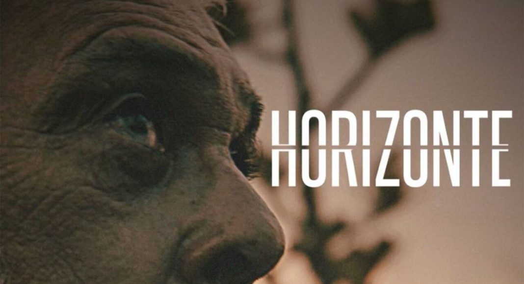 horizonte11
