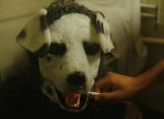 Trailer EXCLUSIVO do suspense BIZARRO e polêmico sobre pessoa agindo como cachorro