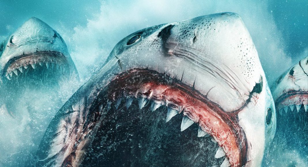 megalodon