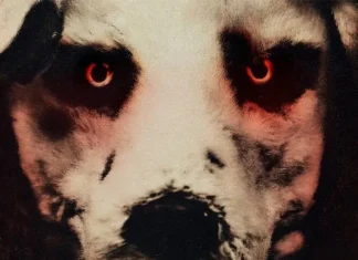 Conheça o BIZARRO suspense norueguês que traz um homem agindo como um cachorro