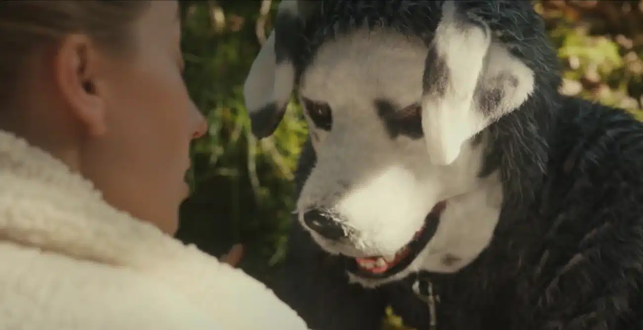 Good Boy, filme de terror com homem-cachorro, ganha trailer - assista