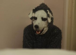 Crítica | Good Boy: Polêmico terror norueguês é PERTURBADOR, mas carece de profundidade