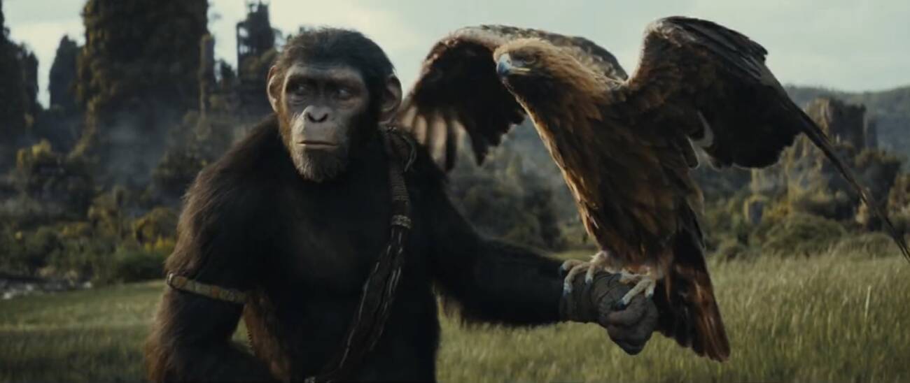 Assista ao trailer DUBLADO e LEGENDADO de 'Planeta dos Macacos: O