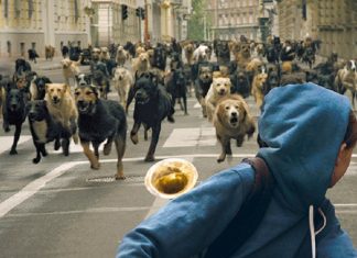 10 Dicas de Filmes onde ANIMAIS roubam a cena