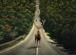 ‘O Mundo Depois de Nós’ estreia no TOPO dos filmes mais populares da Netflix
