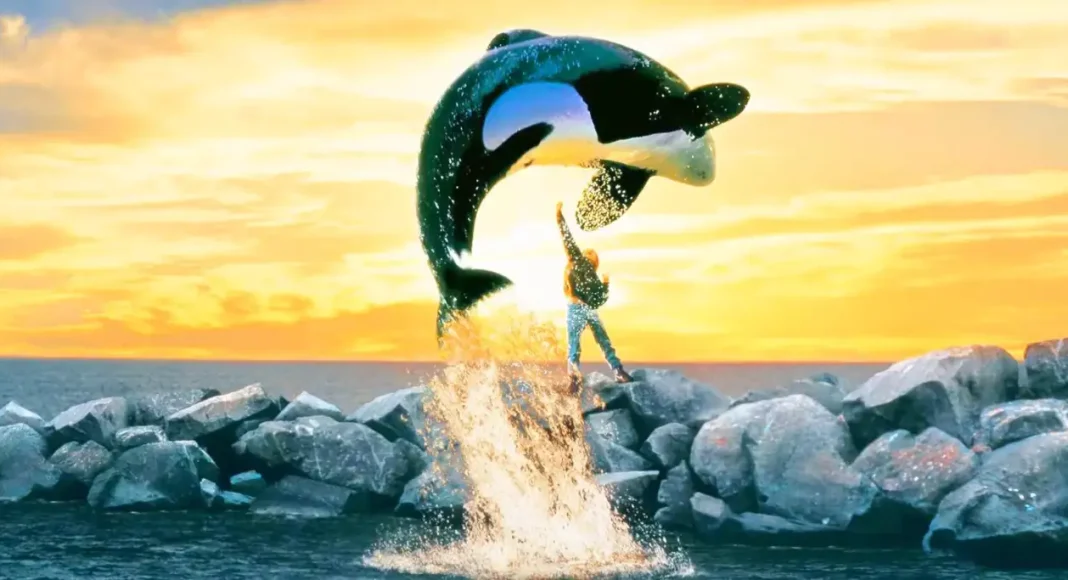 freewilly