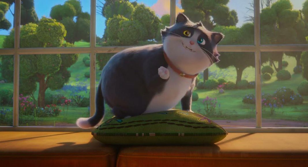 gato de sorte3