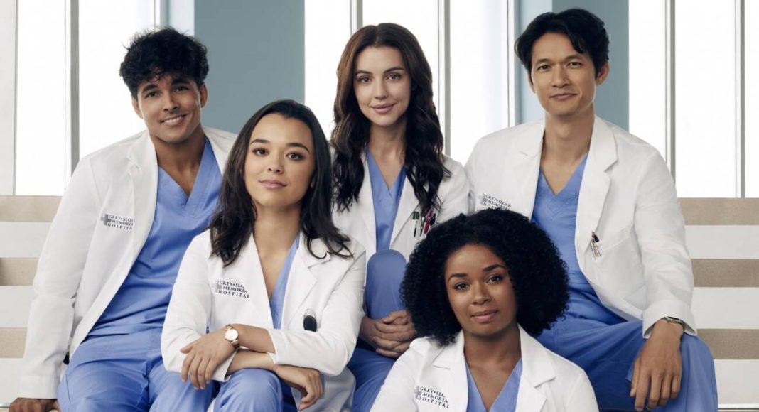 greys anatomy