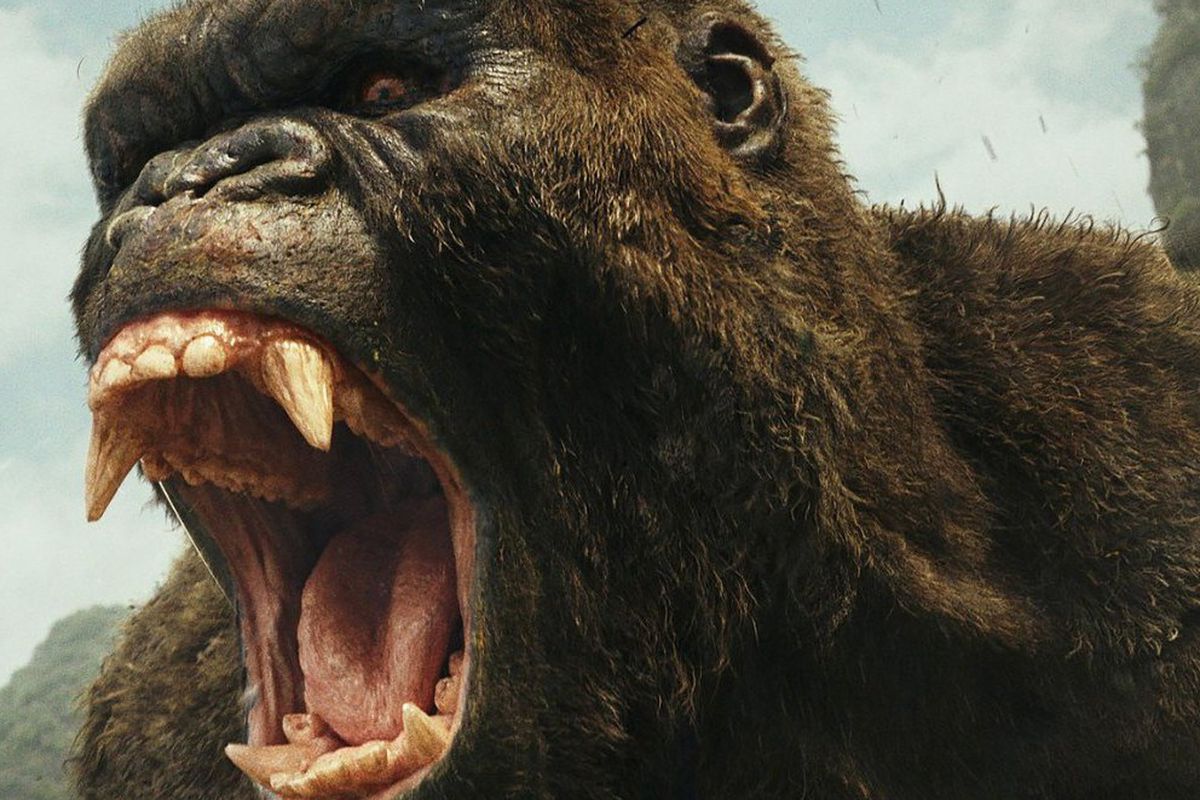 Gorila gigante rugindo com a boca aberta.