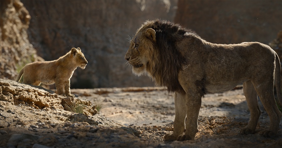 Leão adulto e filhote em um deserto.