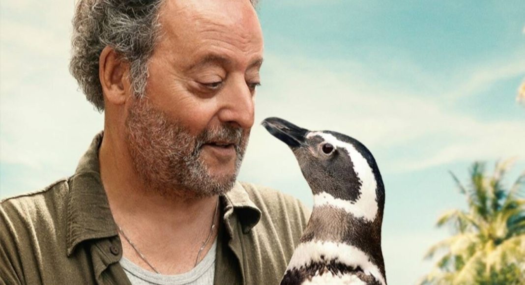 meu amigo pinguim