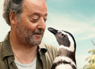 ‘Meu Amigo Pinguim’: Longa baseado em fatos reais conquista 88% de aprovação no Rotten Tomatoes; Confira as críticas! meu amigo pinguim