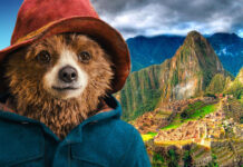 Urso com chapéu em frente a Machu Picchu.