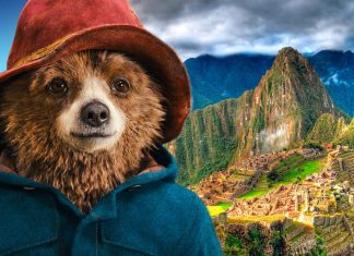 Urso com chapéu em frente a Machu Picchu.
