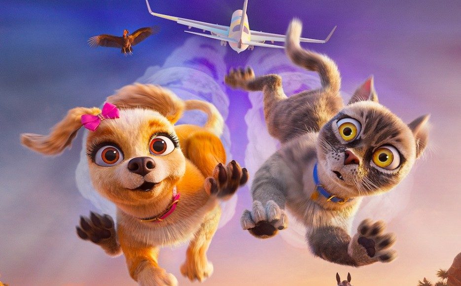 Cachorro e gato voando, avião ao fundo.