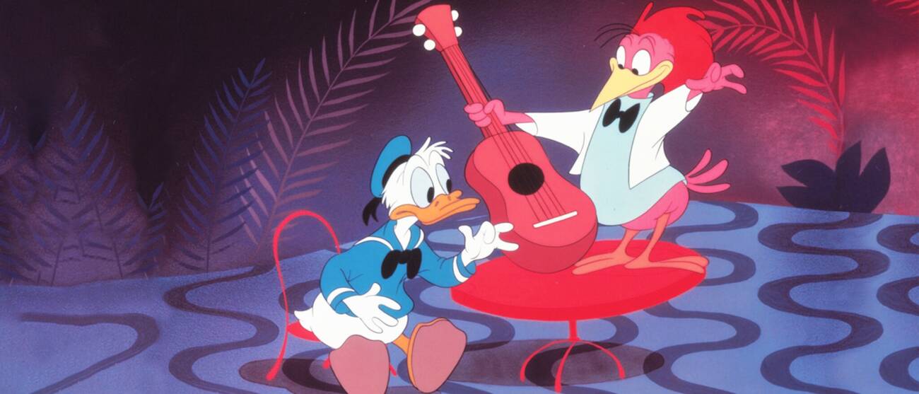 Pato Donald e pássaro tocando violão.