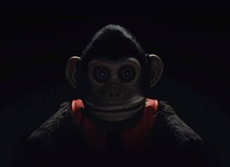 the monkey macaco 02