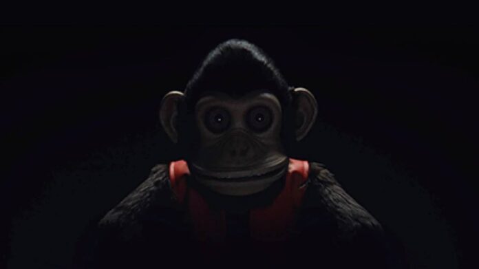 the monkey macaco 02