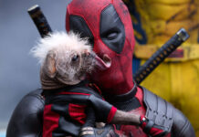 deadpool & wolverine