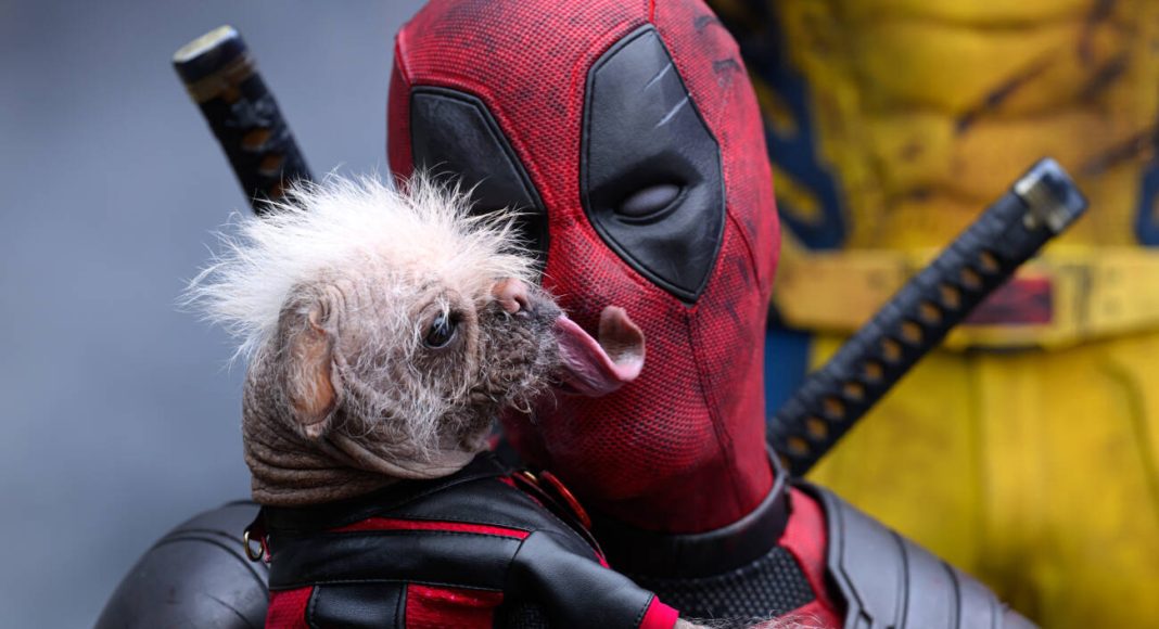 deadpool & wolverine