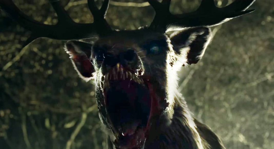 bambi bambi